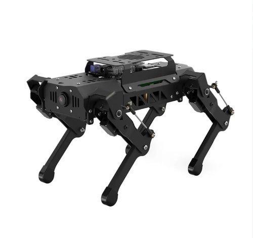 photo robot dog