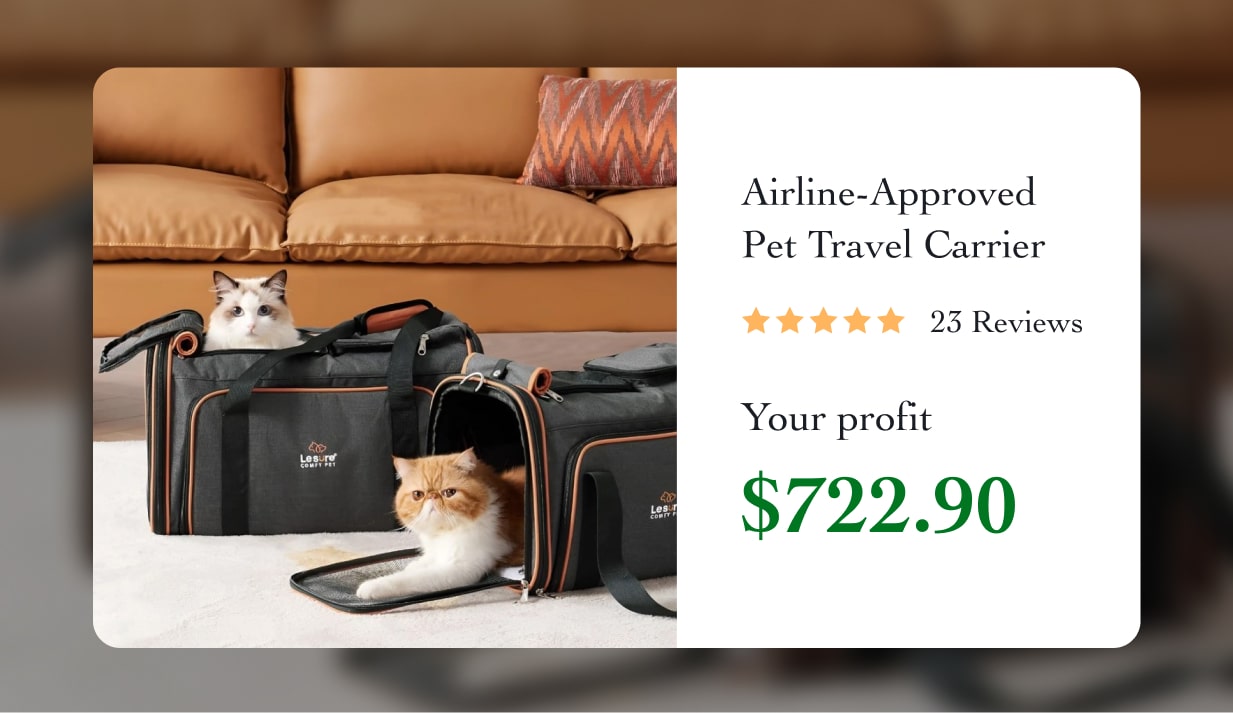 Airline-Approved Pet Travel Carrier