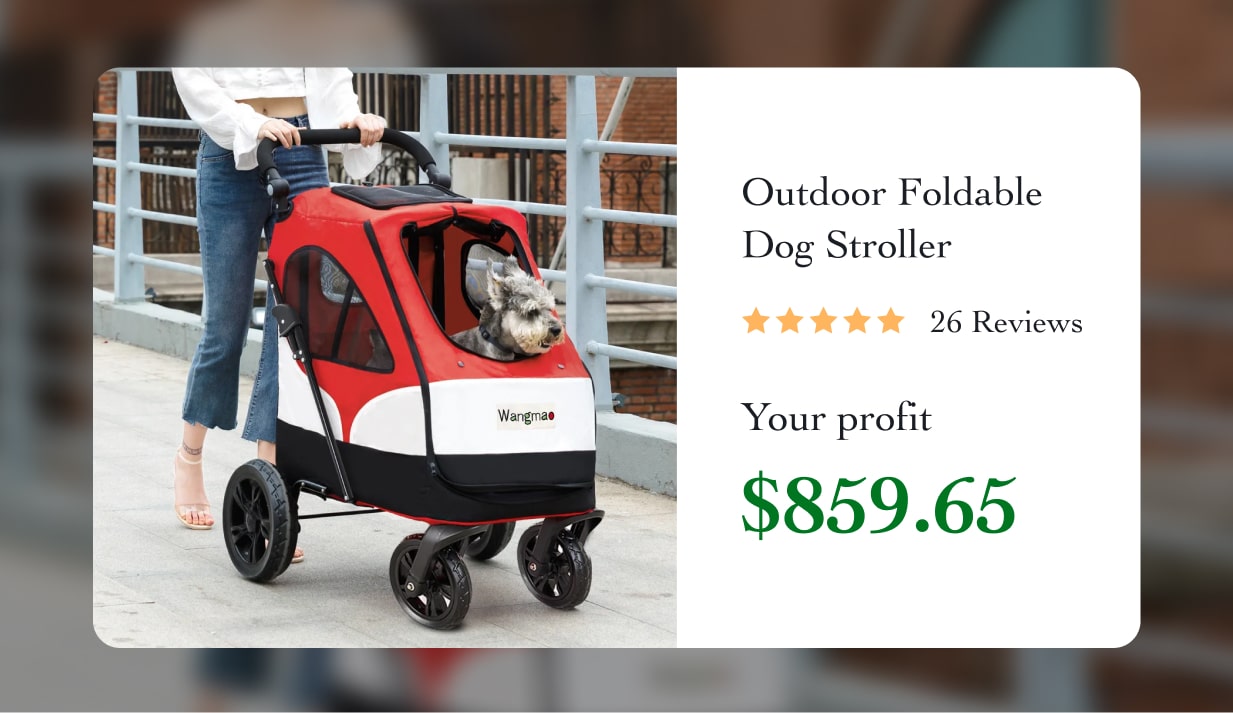 Outdoor Foldable Dog Stroller
