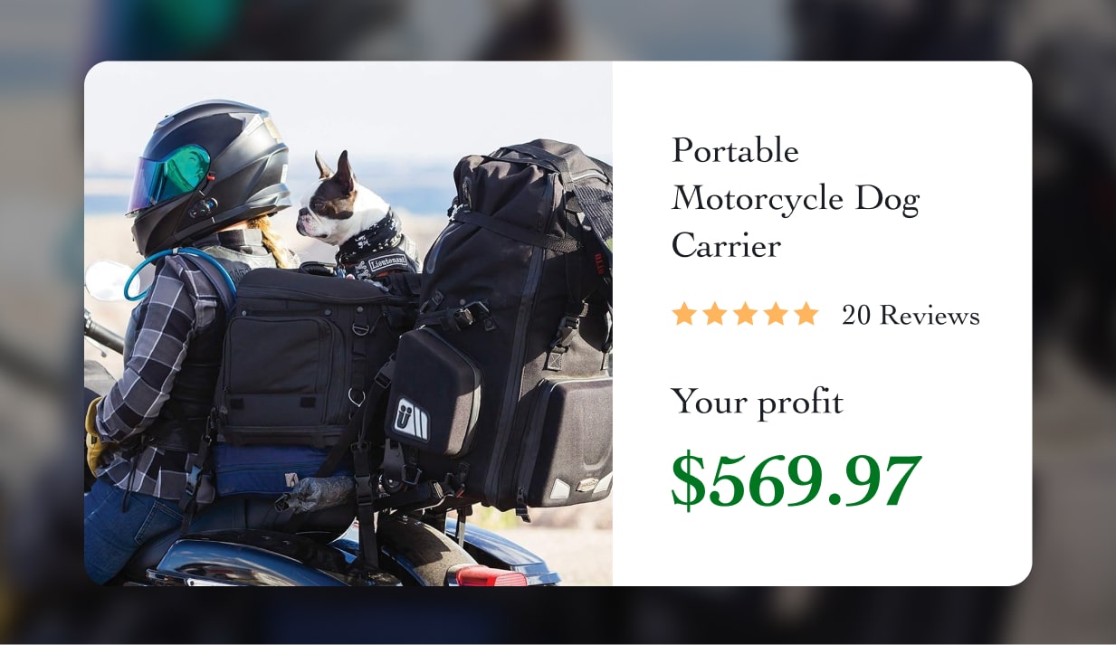Portable Motorcycle Dog Carrier