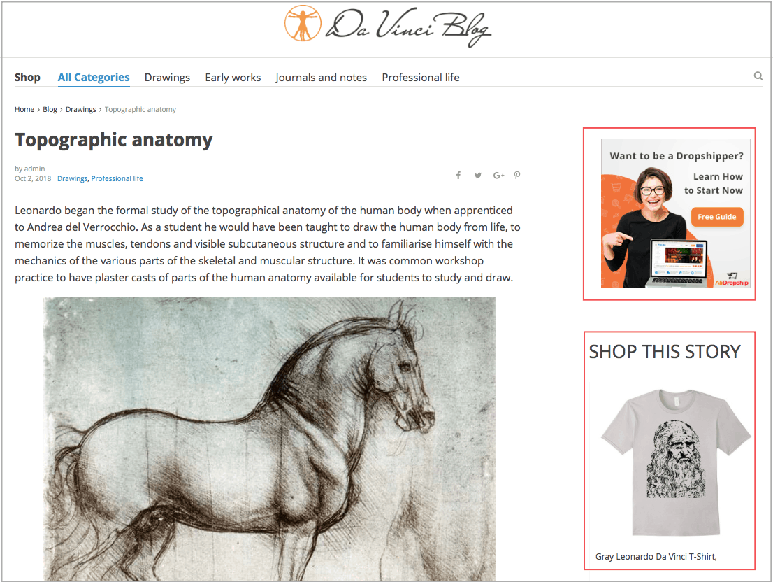 shop-this-story.png