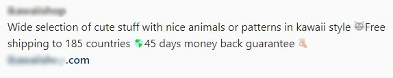 An example of an Instagram bio written in an informal style