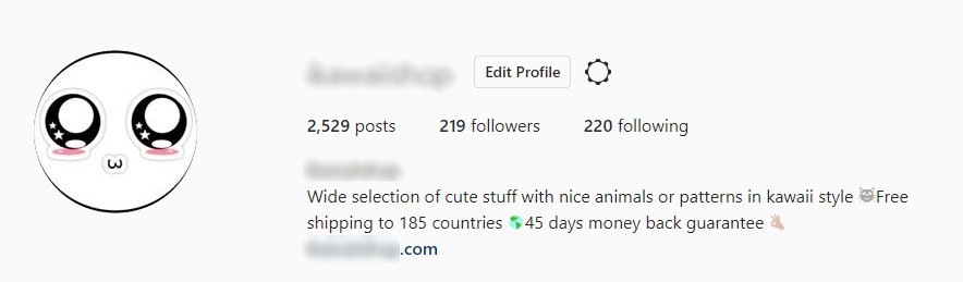 Instagram bio and logo