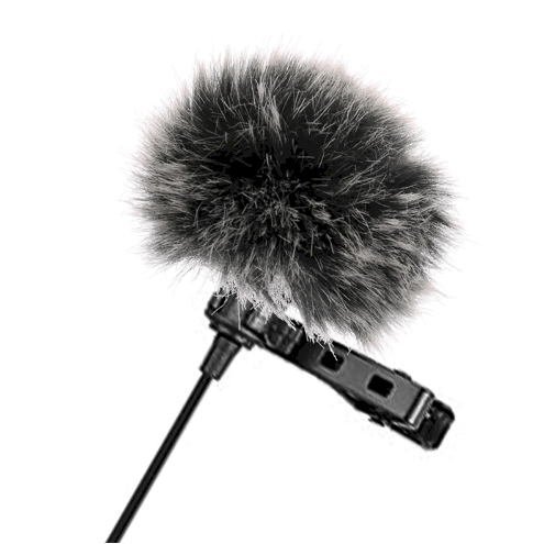 mic-windshield-1.png