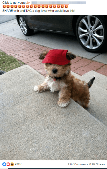 An example of a cute Facebook ad showing a puppy