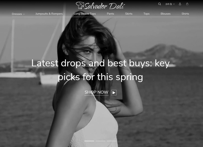 a picture showing the homepage of one of AliDropship themes