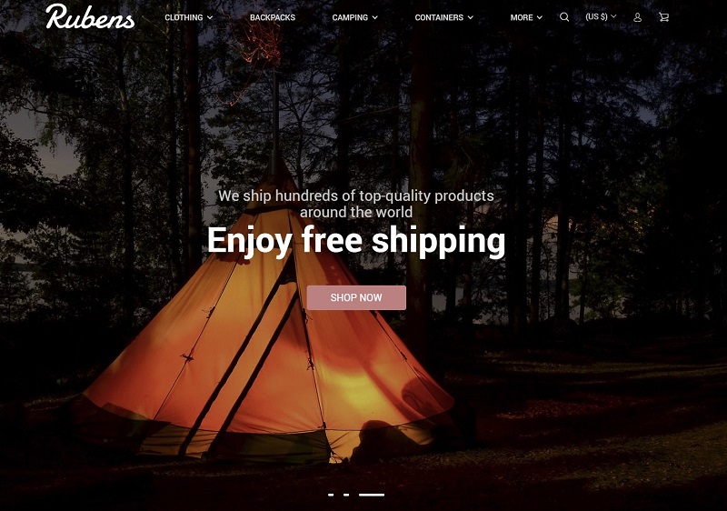 a picture showing the example of the best WordPress themes for business in 2021