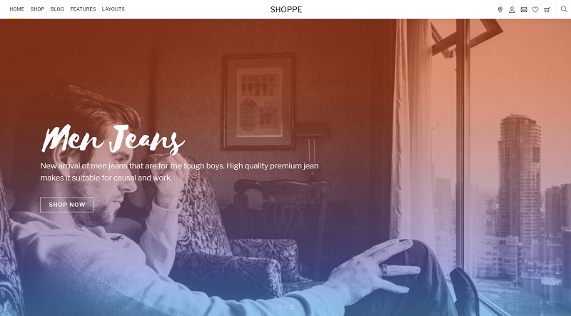 a picture showing the shoppe theme for business