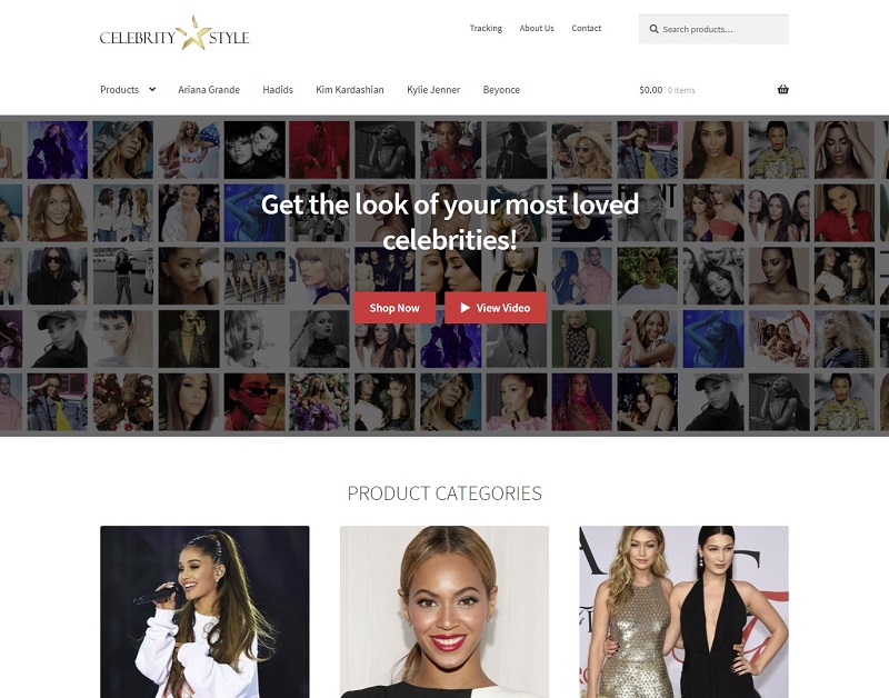a picture of the storefront theme