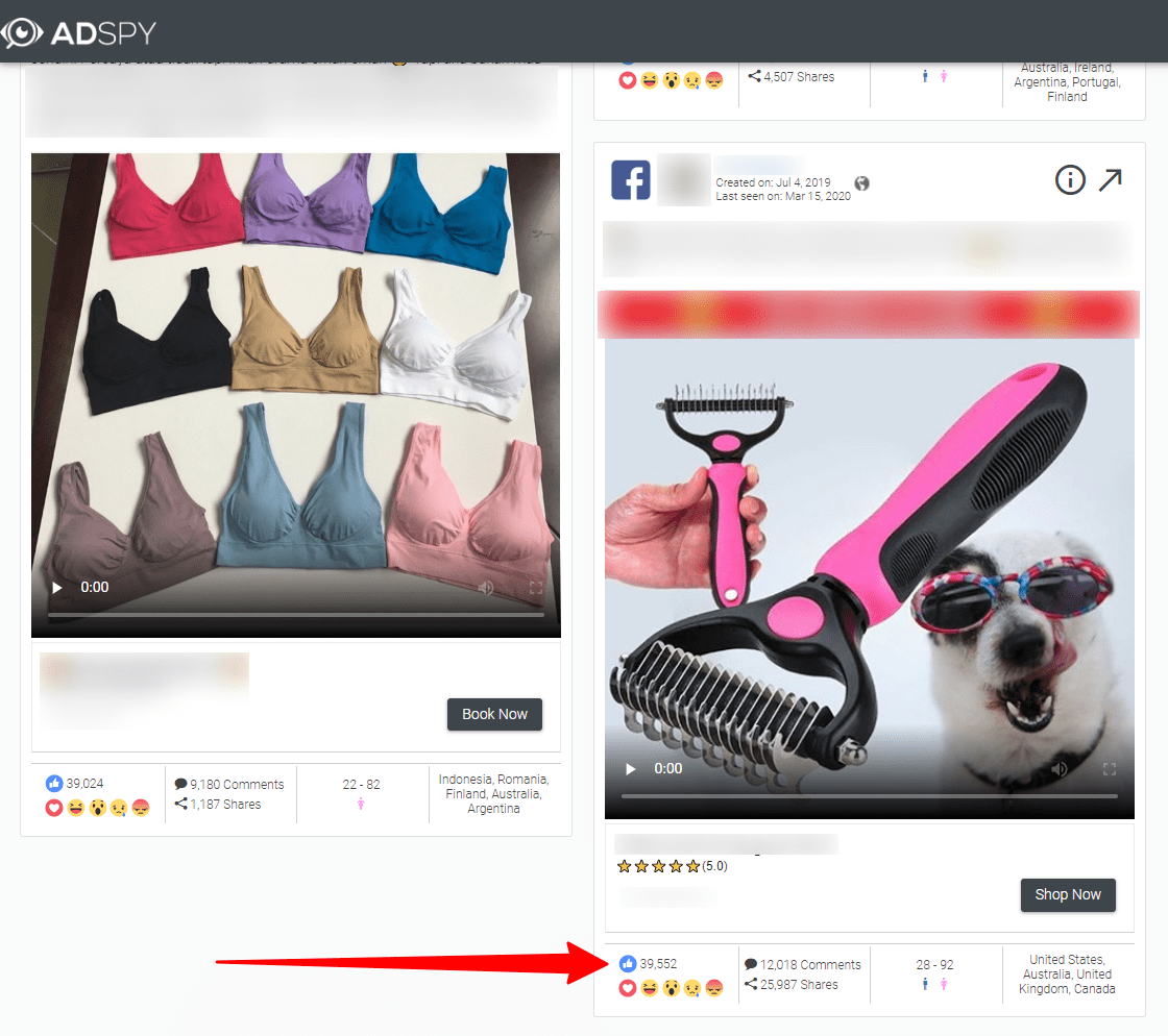 AdSpy-potential-product.png