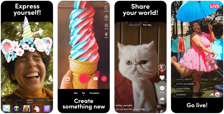 TikTok-for-ecommerce_1.png