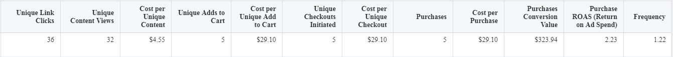 Important metrics for a Facebook conversion campaign