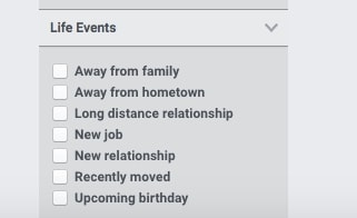 Audience Insights advanced demographics - Life events section