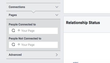 Facebook Audience Insights demographics - Connections