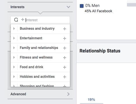 Audience Insights demographics - Picking Interests
