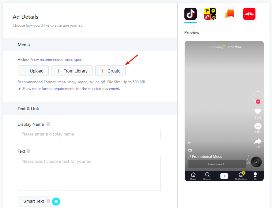 TikTok ad details