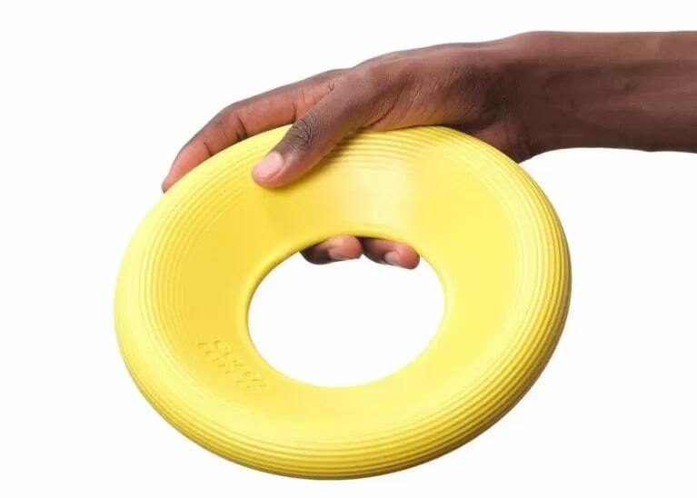 photo of a dog toy