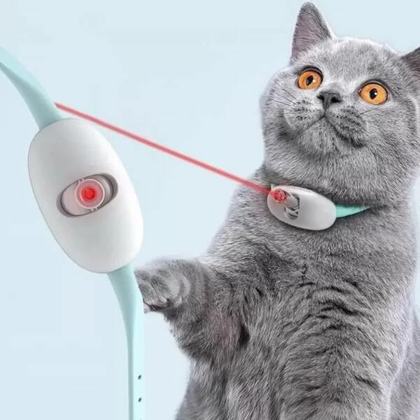 photo cat collar toy