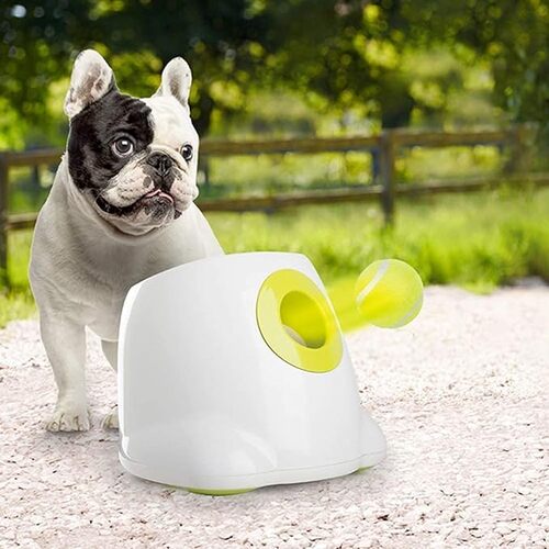 photo ball thrower